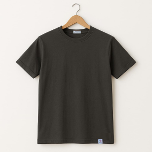 Layerluxe Premium Half Sleeve Round Neck Regular Fit T-shirt For Men