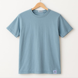 Layerluxe Premium Half Sleeve Round Neck Regular Fit T-shirt For Men